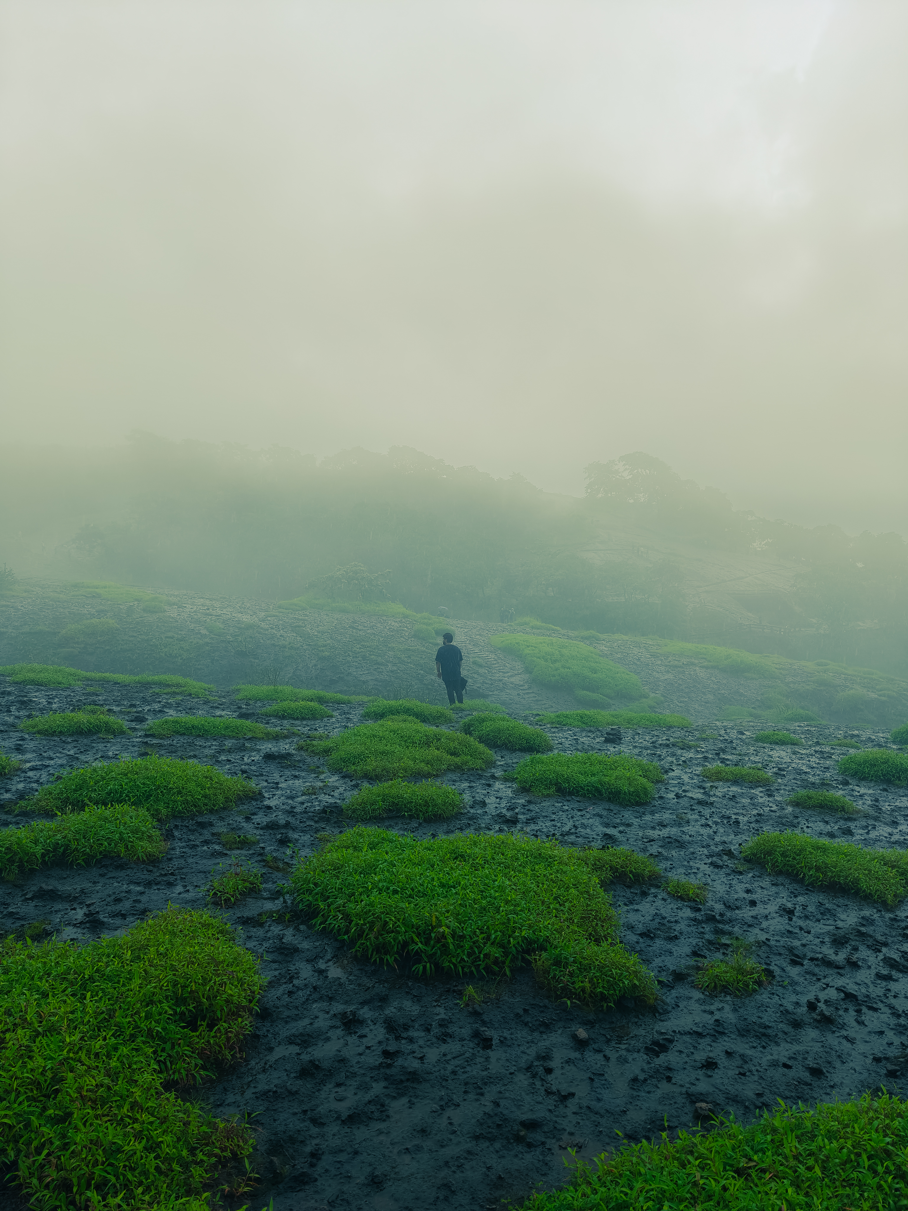 Me somewhere in Western Ghats