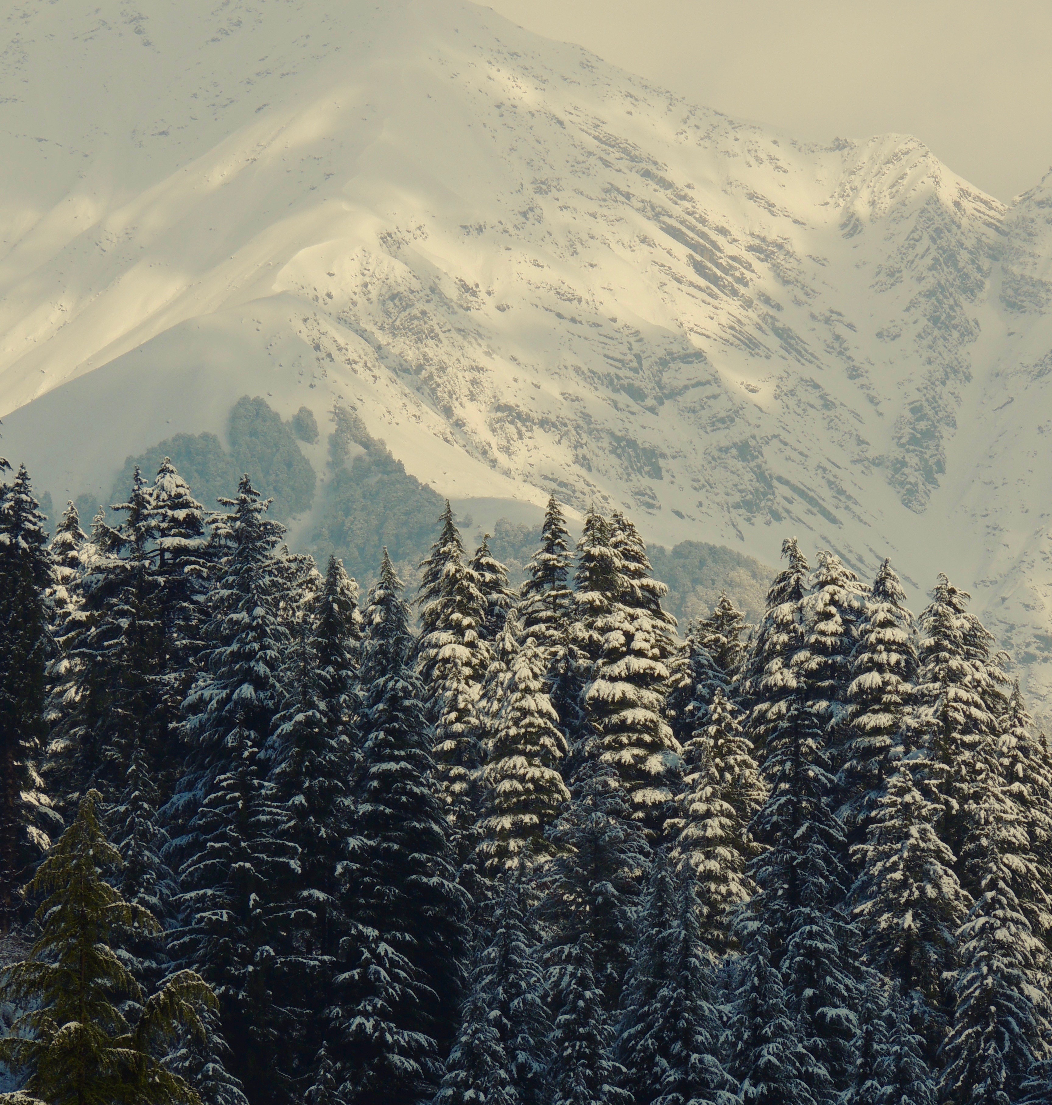 Me somewhere in Western Ghats